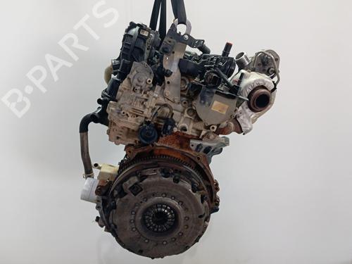 Engine FORD TRANSIT V363 Bus (FAD, FBD)  | BP33336973M1  - Image 11