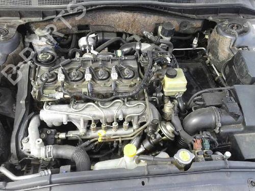  - Image 7