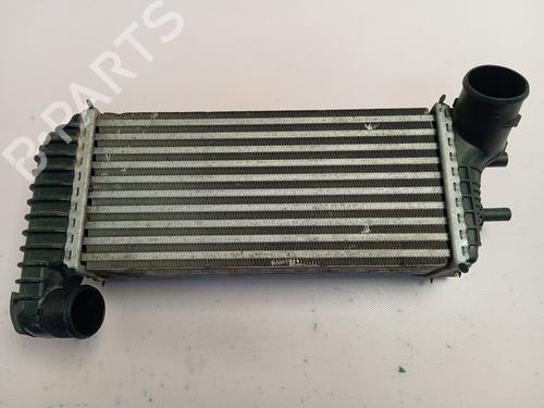 Used Intercooler FORD KUGA II (DM2) [2012-2025]  30375983