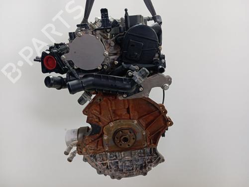 Engine FORD PUMA (J2K, CF7) | BP39246427M1 - Image 6