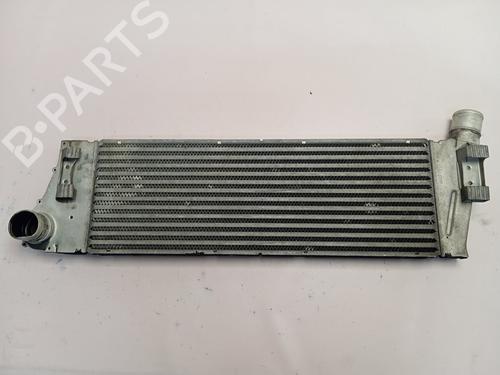 Intercooler RENAULT MEGANE II (BM0/1_, CM0/1_) | BP30376252M30
