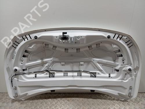 Hood OPEL CORSA F (P2JO) 1.2 (68) | BP25904257C1 
