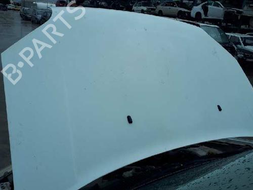 Used Hood FORD TRANSIT CONNECT (P65_, P70_, P80_) 1.8 Di (75 hp) 12668865