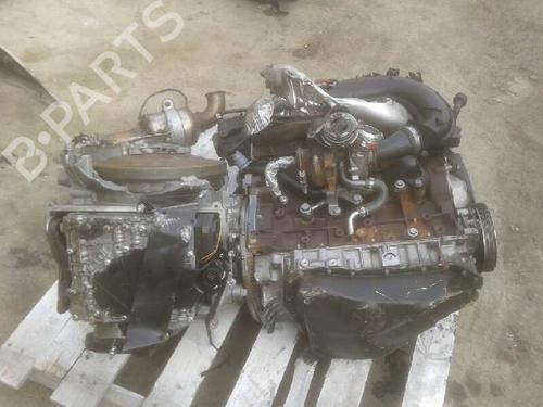  - Image 7
