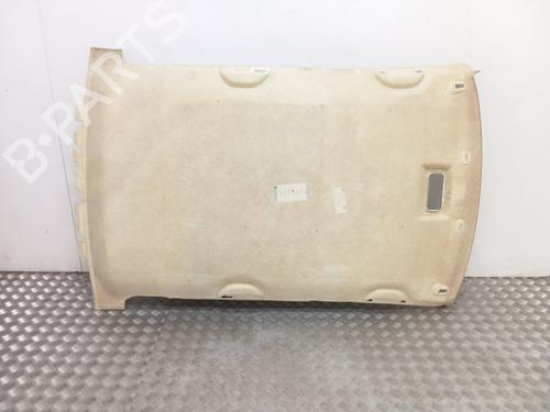 Interiør taket SKODA FABIA I (6Y2)  | BP25854660I12 