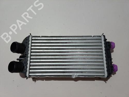 Intercooler Intercooler PEUGEOT 2008 II (UD_, US_, UY_, UJ_, UR_, UC_) [2019-2026] 36990709 36990709