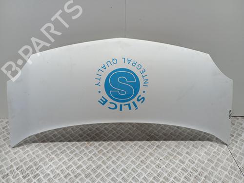 hood-renault-kangoo-express-fw01_-2008-34396236 main image