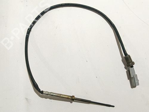 Elektronische sonde Elektronische sonde NISSAN QASHQAI II (J11, J11_) 1.5 dCi (110 hp) 37232438 37232438