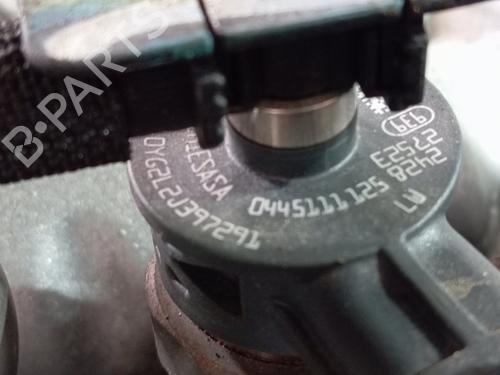 Engine FIAT DOBLO Cargo (263_)  | BP22915473M1 