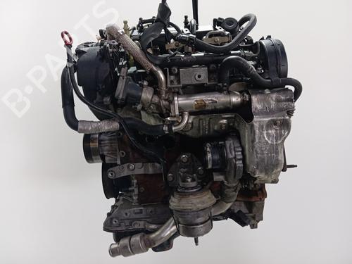 Engine JAGUAR XF I (X250) 2.7 D | BP39146834M1 - Image 13