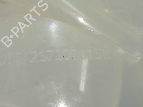 Expansion tank RENAULT MASTER III Van (FV) 2.3 dCi 110 FWD (FV0R, FV0W, FV1A) | BP28671603C120 