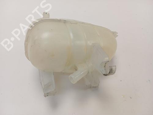 Expansion tank RENAULT TRAFIC III Van (FG_)  | BP21004212C120 