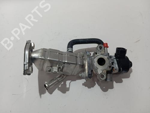 Egr TOYOTA YARIS (_P13_)  | BP29157244M69 