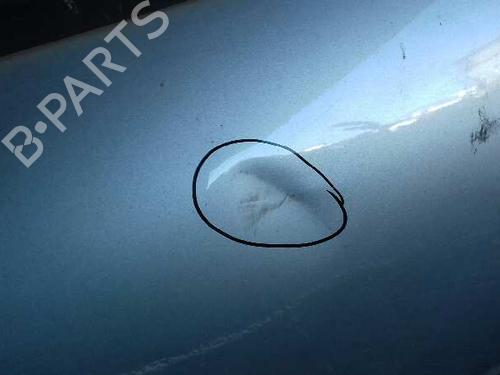 Left front door PEUGEOT 207 (WA_, WC_) 1.4 16V | BP12650467C2 