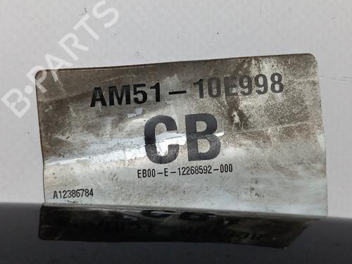 Tailgate handle FORD GRAND C-MAX (DXA/CB7, DXA/CEU)  | BP29594919C132 