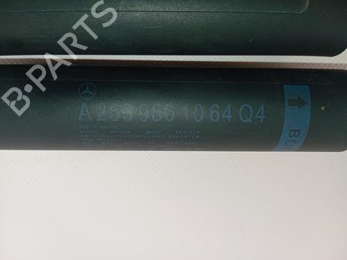Tailgate lift support MERCEDES-BENZ GLC (X253) 220 d 4-matic (253.915) | BP29724016C138 