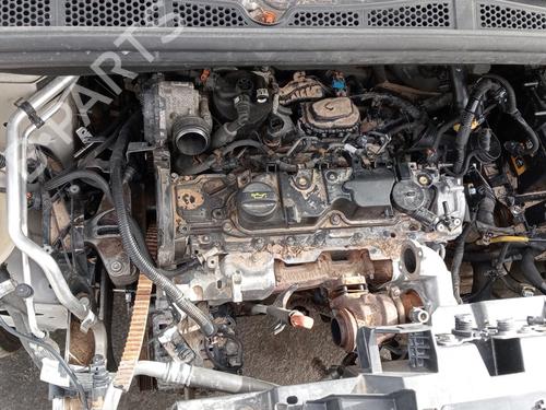 Rat CITROËN BERLINGO Box Body/MPV (K9) | BP25855973C49