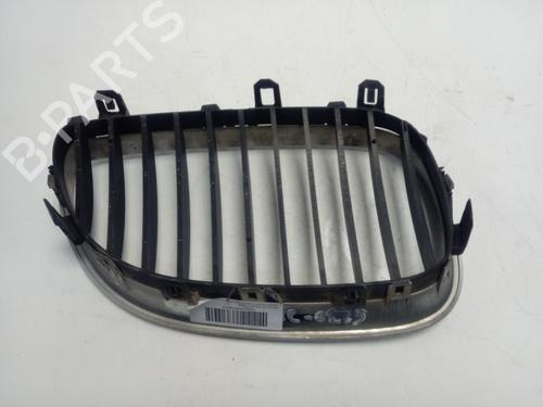 Grille BMW 5 (E60)  | BP16829085C40 