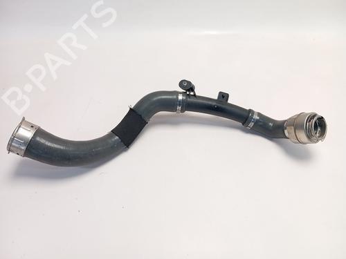 Used Pipe RENAULT AUSTRAL [2022-2025]  22712532