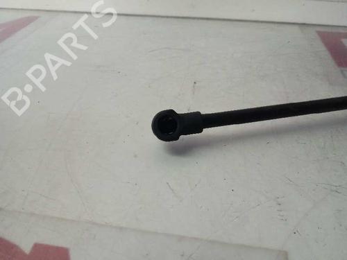 Tailgate lift support CITROËN C4 Picasso I MPV (UD_)  | BP14128824C138 