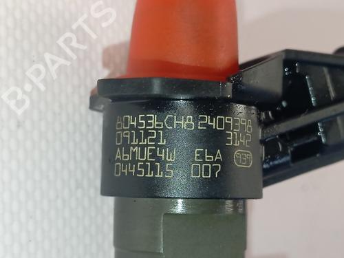 Injector NISSAN QASHQAI I (J10, NJ10) | BP30376619M100