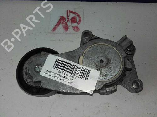 Used Other Other CITROËN BERLINGO Box Body/MPV (B9) [2008-2026] 16565113 16565113