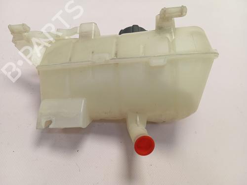 Expansion tank RENAULT KANGOO (KC0/1_)  | BP26187465C120 