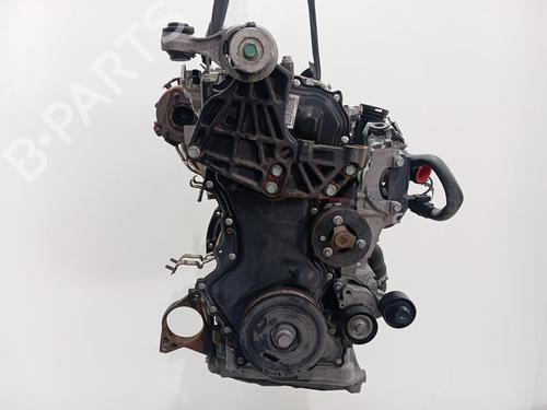Engine RENAULT KOLEOS I (HY_) 2.0 dCi (HY0K) | BP29596126M1 