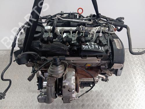 Engine VW GOLF VI (5K1) 1.6 TDI | BP36074320M1  - Image 10