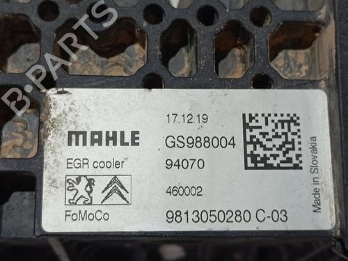 Egr OPEL COMBO E Tour / Life (K9)  | BP28031823M69 