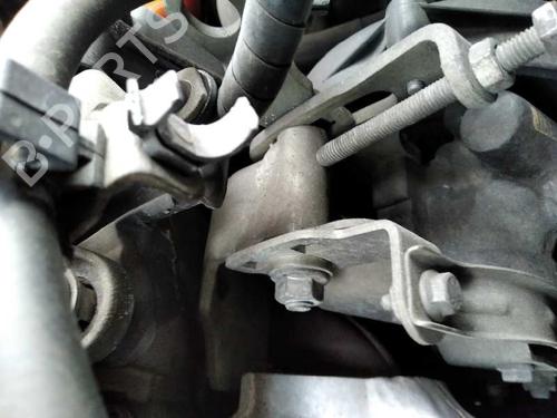 Pompa Idroguida FIAT MULTIPLA (186_) [1999-2010]  15355260
