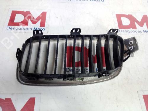 Grille BMW 3 Touring (F31) 320 d | BP12840262C40 