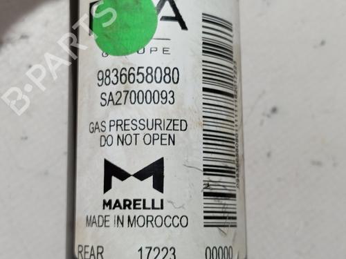Right rear shock absorber PEUGEOT 2008 II (UD_, US_, UY_, UJ_, UR_, UC_)  | BP29359030M19 