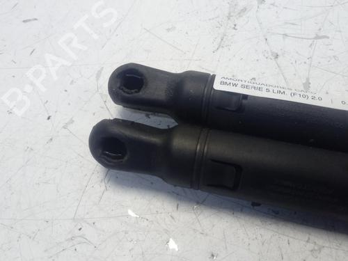 Hood lift support BMW 5 (F10) 520 d | BP17960205C139 