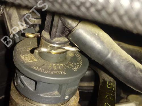 Engine RENAULT KANGOO / GRAND KANGOO II (KW0/1_) 1.5 dCi 75 (KW07, KW10, KW04) | BP12665834M1