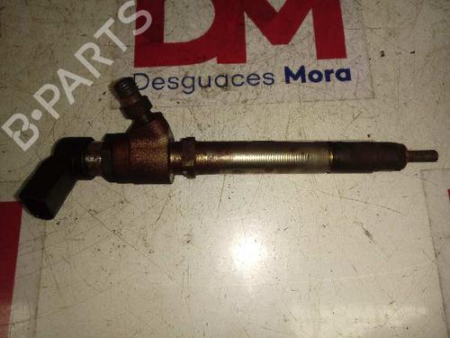 Injector JAGUAR XJ (X350, X358) D 2.7 | BP12666699M100