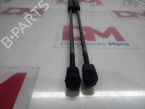 Tailgate lift support FORD KUGA I  | BP14133019C138