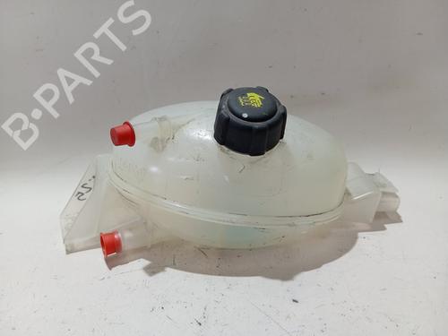 Expansion tank RENAULT MASTER III Van (FV) 2.3 dCi 110 FWD (FV0R, FV0W, FV1A) | BP28671603C120 