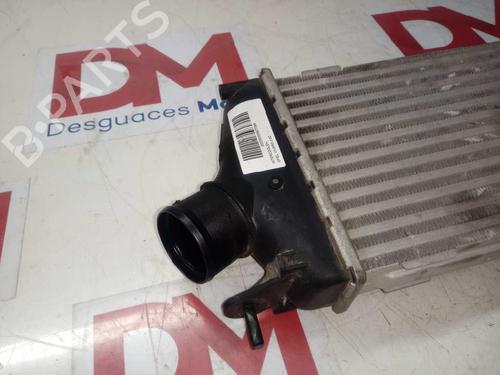Intercooler OPEL VIVARO A Bus (X83) 2.0 CDTI (F7, J7, A07) | BP29409860M30 
