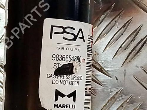 Right front shock absorber PEUGEOT 2008 II (UD_, US_, UY_, UJ_, UR_, UC_)  | BP29359047M17 