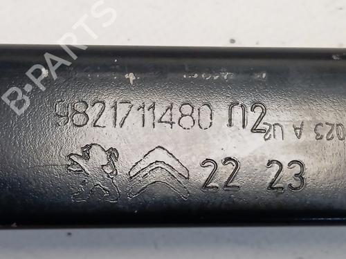 Crossmember PEUGEOT RIFTER  | BP29410604C162 