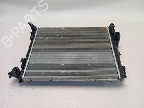 Used Water radiator Water radiator RENAULT MEGANE IV Grandtour (K9A/M/N_) [2016-2026] 35787745 35787745