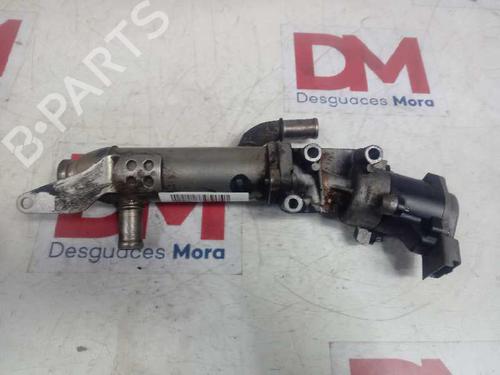 Used Egr LAND ROVER DISCOVERY III (L319) 2.7 TD 4x4 (190 hp) 14131644