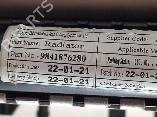 Water radiator PEUGEOT 2008 I (CU_) | BP37403019M31 - Image 3
