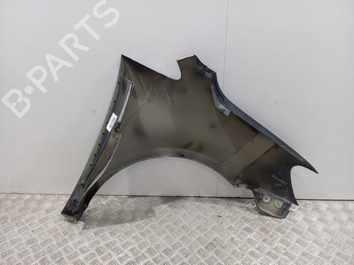 Left front fenders VW TOURAN (1T1, 1T2) 1.9 TDI | BP29001380C41 