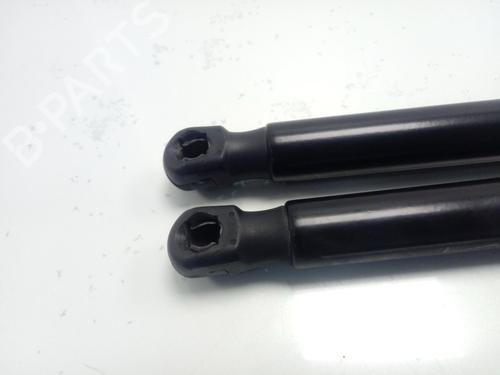 Tailgate lift support AUDI A1 (8X1, 8XK) 1.6 TDI | BP16695616C138 