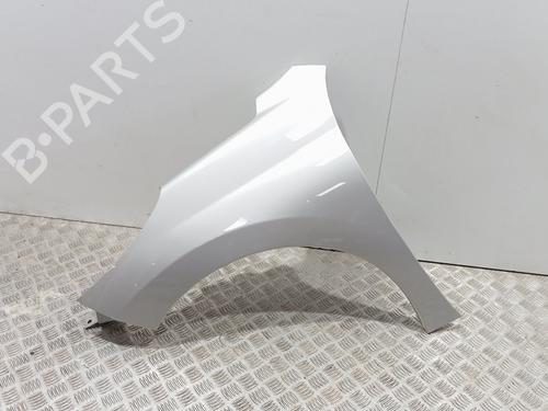 Used Left front fenders PEUGEOT 207 (WA_, WC_) [2006-2015]  28704066