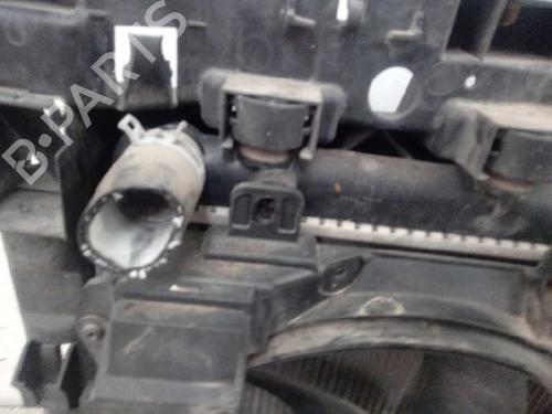 Water radiator PEUGEOT 207 (WA_, WC_) | BP12661735M31