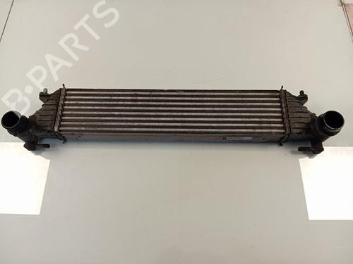 Used Intercooler FIAT TIPO Estate (356_, 357_) 1.4 (356WXF1B) (120 hp) 20641418