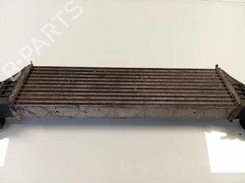 Intercooler BMW X5 (E53)  | BP21575476M30 